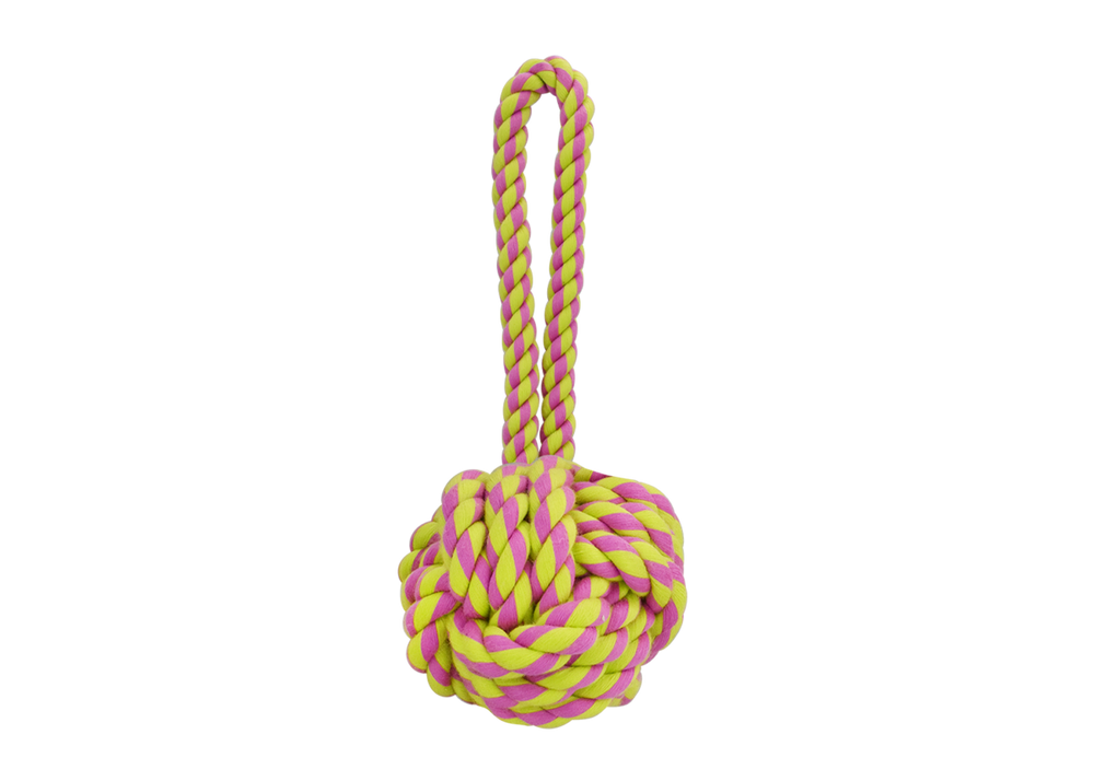 Multipet Nuts For Knots with Tug Dog Toy - 9.5"
