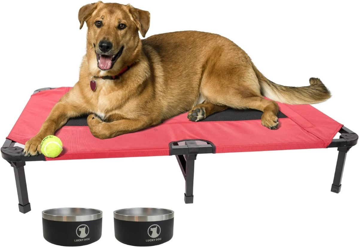 Lucky Dog® Elevated Pet Bed Comfort Cot Playful Tail