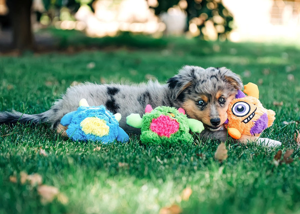 Multipet Oggle Monsters Plush Dog Toy - 5"