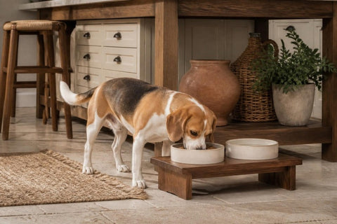 Pet bowls