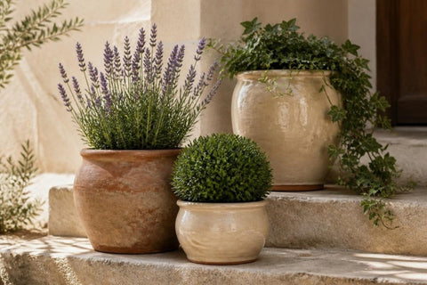 Planters