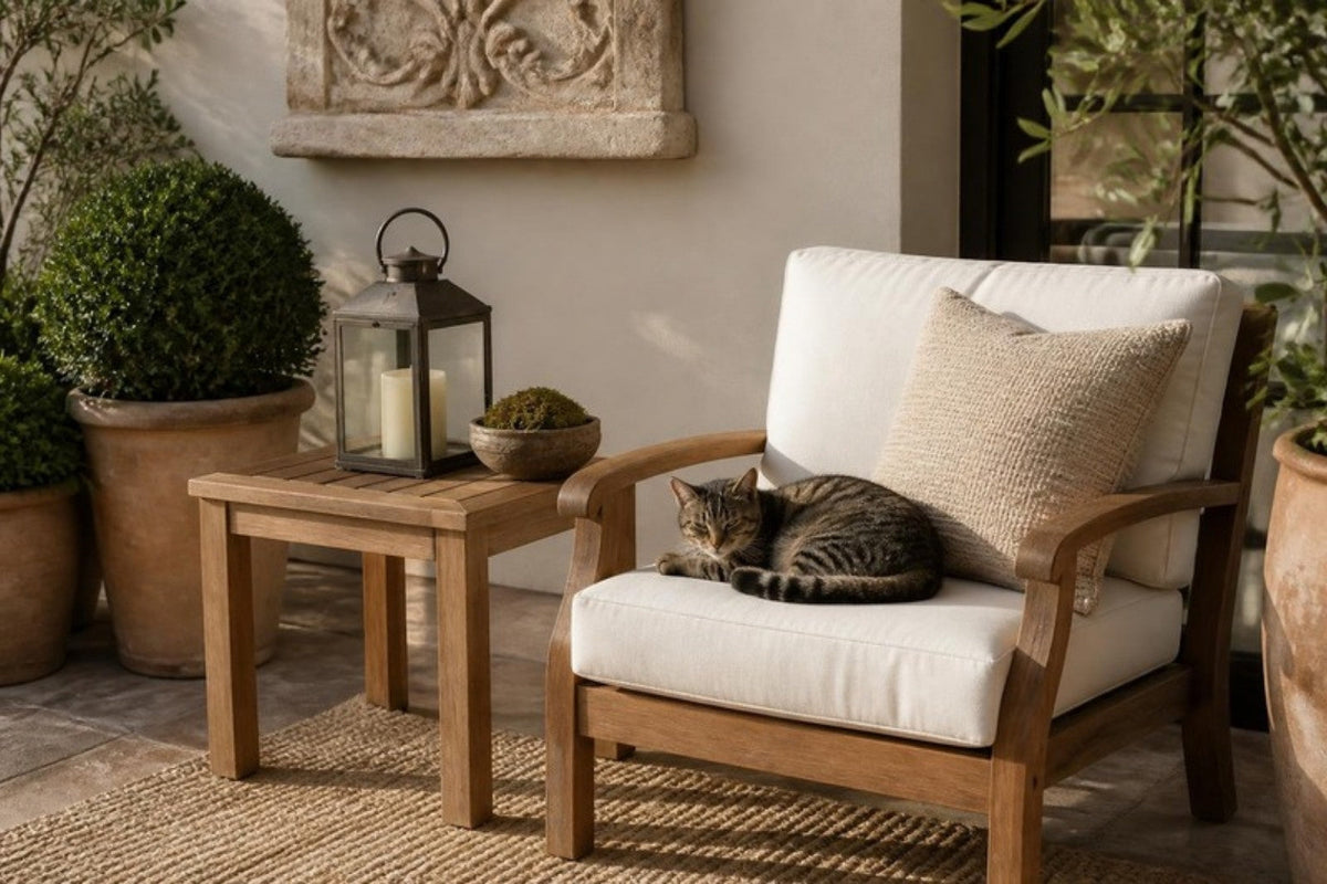 A tabby cat is curled up on the white seat cushion of a teak patio chair, next to a teak side table with a lantern, boxwood in terracotta planters, a woven outdoor rug and a stone wall plaque.