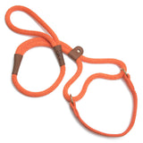 Mendota Dog Walker - Orange / Small 3/8" (neck 12-18")