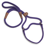 Mendota Dog Walker - Purple / Small 3/8" (neck 12-18")