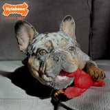 Nylabone Power Chew Lobster lifestyle