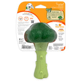 Nylabone Power Chew Broccoli Dog Chew Toy packaging back