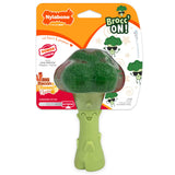 Nylabone Power Chew Broccoli Dog Chew Toy