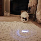 Turbo LED Pointer Cat Toy