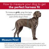 Comfort Soft Adjustable Mesh Dog Harness sizing guide
