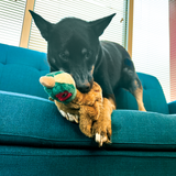 KONG Wild Low Stuff Pheasant Brown Plush Dog Toy, Medium - view 2