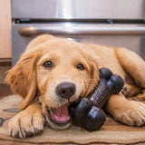KONG Extreme Goodie Bone Dog Toy, Medium - view 3