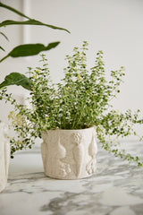 Veggie Speckled Glossy Pots By Accent Decor