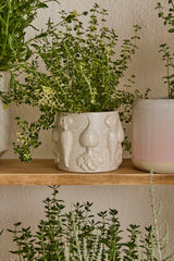 Veggie Speckled Glossy Pots By Accent Decor