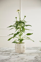 Veggie Speckled Glossy Pots By Accent Decor