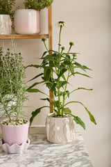 Veggie Speckled Glossy Pots By Accent Decor