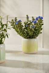 Skyway Ceramic Pots By Accent Decor