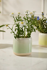 Skyway Ceramic Pots By Accent Decor