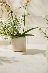Skyway Ceramic Pots By Accent Decor