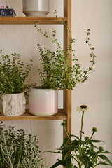 Skyway Ceramic Pots By Accent Decor