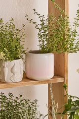 Skyway Ceramic Pots By Accent Decor