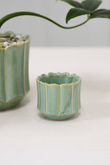 Everleaf Pots By Accent Decor