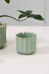 Everleaf Pots By Accent Decor
