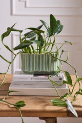 Everleaf Trough Vessels By Accent Decor