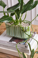 Everleaf Trough Vessels By Accent Decor
