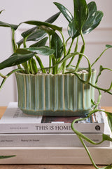 Everleaf Trough Vessels By Accent Decor