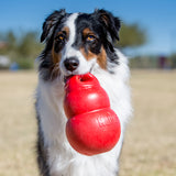KONG Bounzer Dog Toy, Medium - view 3