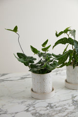 Heartfelt Reactive Glaze Ceramic Decorative Vessels By Accent Decor
