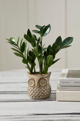 Great Grey Owl Pot By Accent Decor
