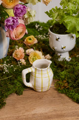 Picnic Decorative Pitchers By Accent Decor