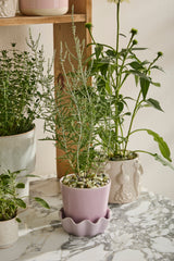 Springvale with Saucer Ceramic Pots By Accent Decor