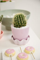 Springvale with Saucer Ceramic Pots By Accent Decor