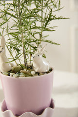 Thumper Hand-Painted Glossy Plant Sticks (Set of 2) By Accent Decor