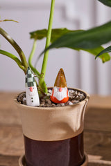 Gnome Family Figurines (Set of 3) By Accent Decor
