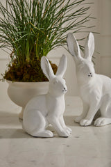 Garden Rabbit Sculptural Matte Figurines By Accent Decor