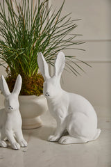 Garden Rabbit Sculptural Matte Figurines By Accent Decor