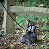 Adjustable Cat Wrap Harness with 6' Leash
