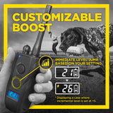 Dogtra 1900S Black Boost & Lock E-Collar Remote Dog Trainer 1-Mile Range