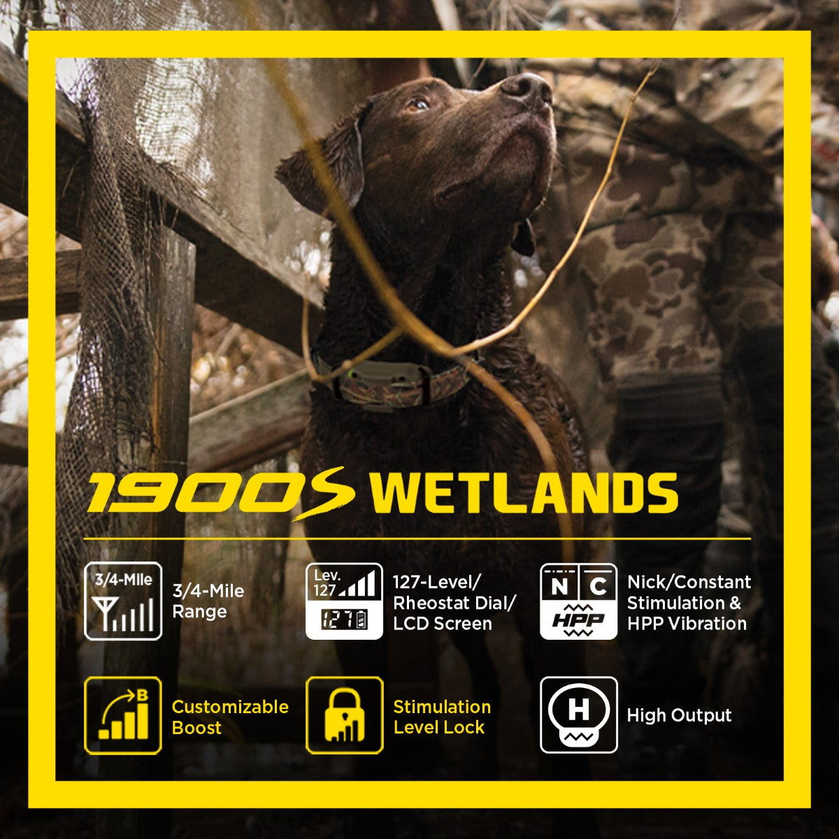 Dogtra 1900S Wetlands Boost & Lock Remote Dog Training E-Collar 3/4 Mile Range