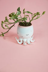 Open Arms Octopus Hand-Painted Ceramic Pot By Accent Decor