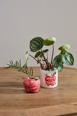 Apple Bud Vase By Accent Decor