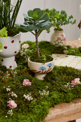 Picnic Compote By Accent Decor