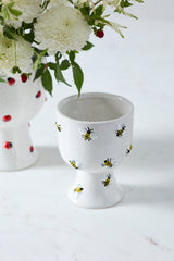 Buzzy Compotes By Accent Decor