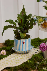 Ladybug with Saucer Pot By Accent Decor