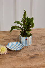 Ladybug with Saucer Pot By Accent Decor