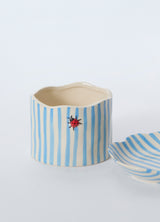 Ladybug with Saucer Pot By Accent Decor