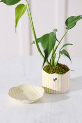 Bumble Bee with Saucer Pot By Accent Decor
